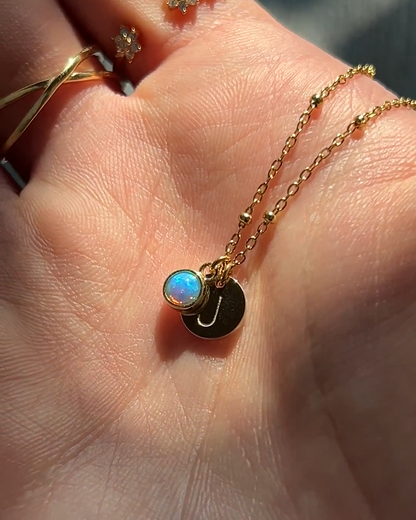 Circulled Birthstone Necklace