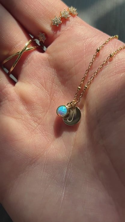 Circulled Birthstone Necklace